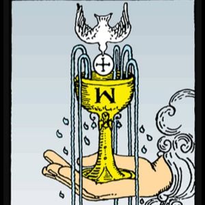 Meet your Posher, Steve